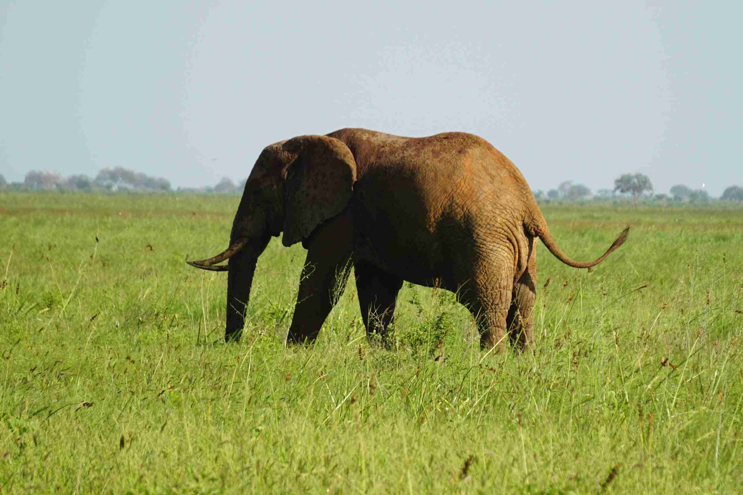 3 days Amboseli safari tour package