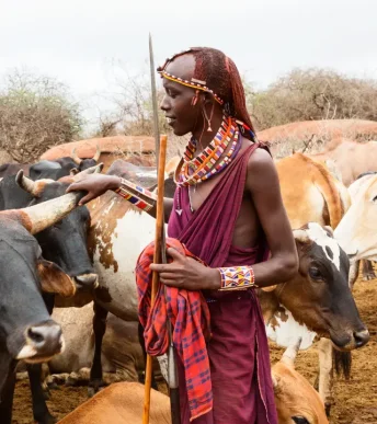 maasai cultural visit